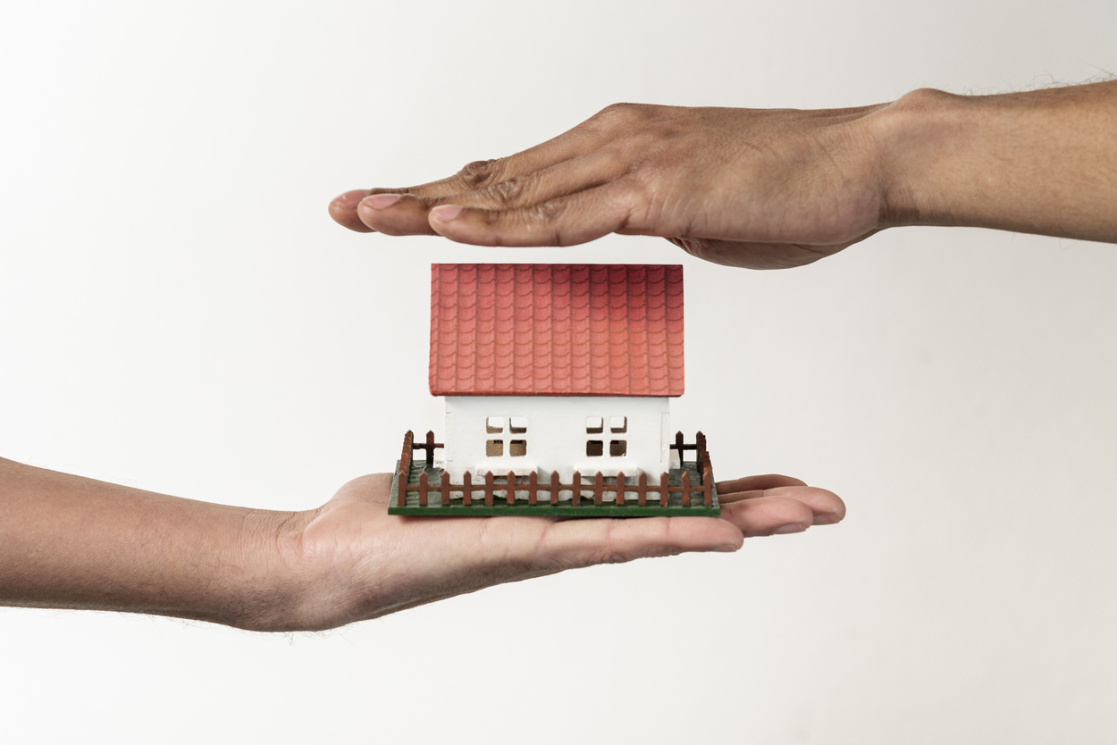 Holding patrimonial / imagem: freepik