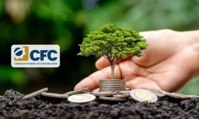 CFC oficializa norma internacional de asseguração de relatórios de sustentabilidade