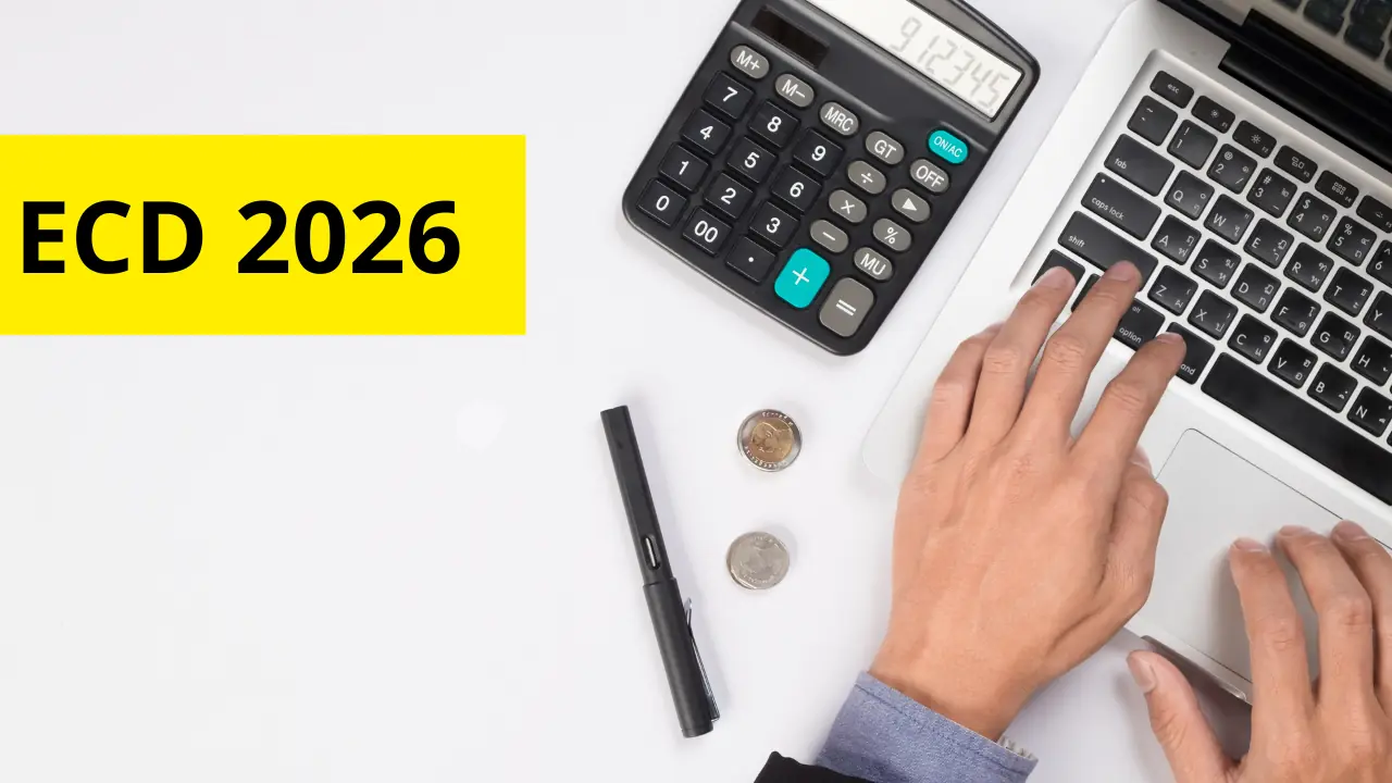 ECD 2026: empresas devem se preparar para entrega da escrituração até 30 de junho 